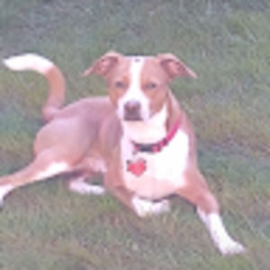 Meet your Posher, Mendoza